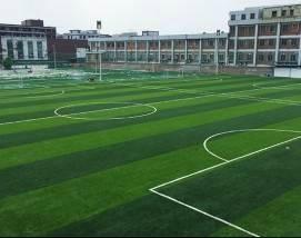 体育学校人造草足球场